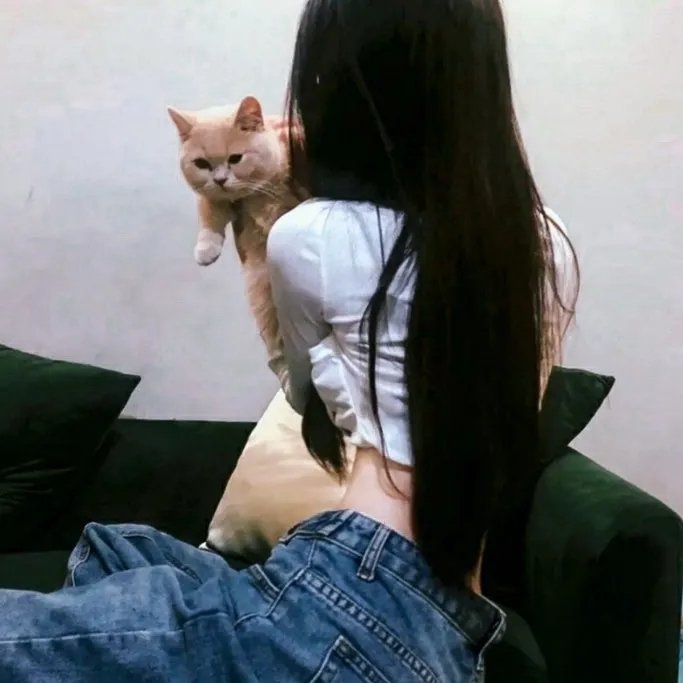 跨越白昼的夜